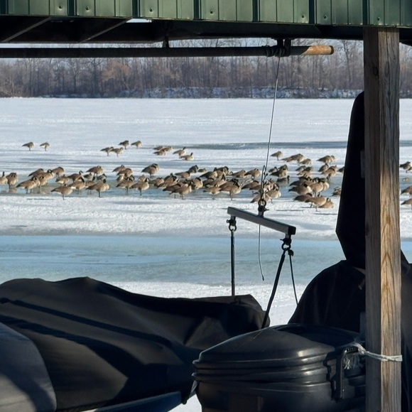 - Everything and anything! - Picture 16 of 17